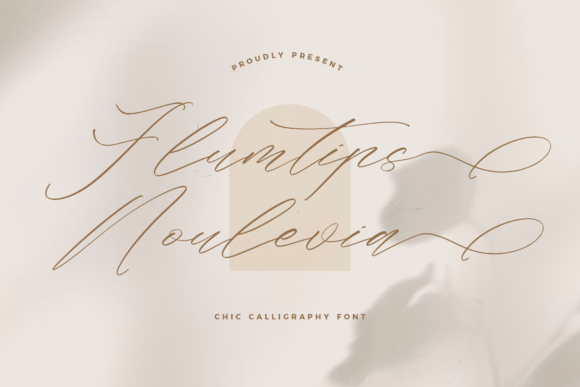 Flumtips Noulevia: A Chic Script Font That Elevates Real Small Business Branding