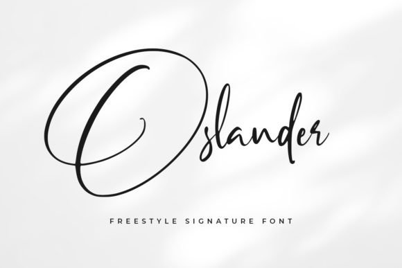 Oslander: A Fresh Script Font for Authentic Brand Identity